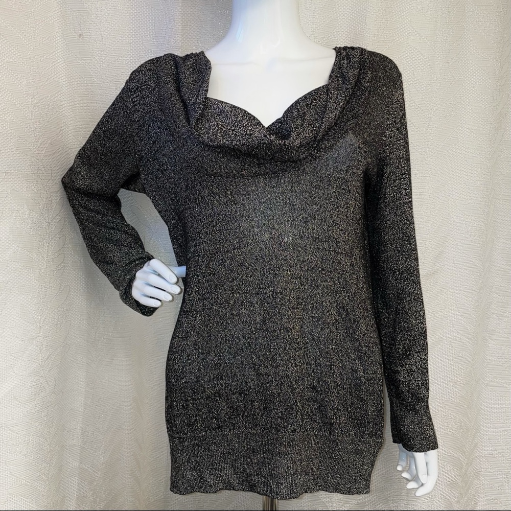 Dana Buchman Glitter Blouse